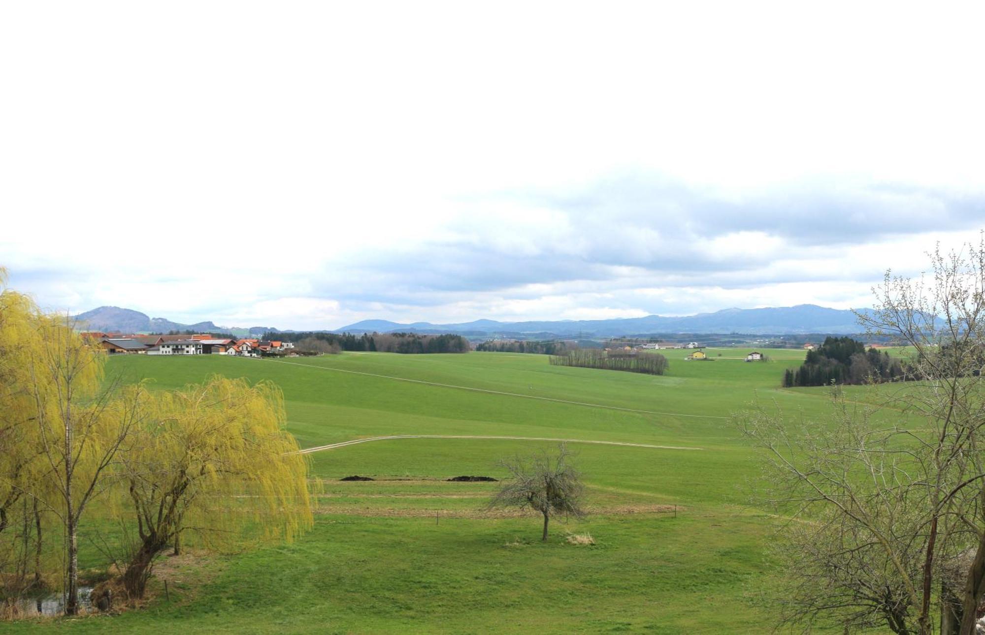 Ferienwohnung Am Bio-Bauernhof Obertrum am See Dış mekan fotoğraf